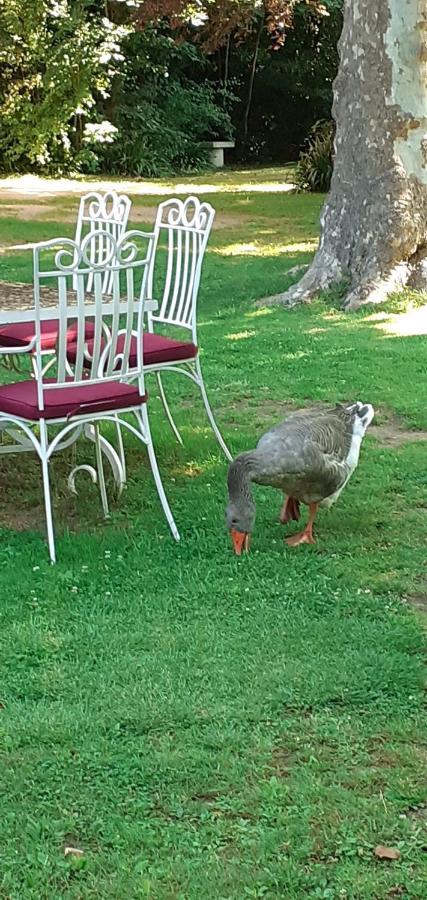 לה בלאנק Manoir De La Presle Ornella Et Stephane מראה חיצוני תמונה