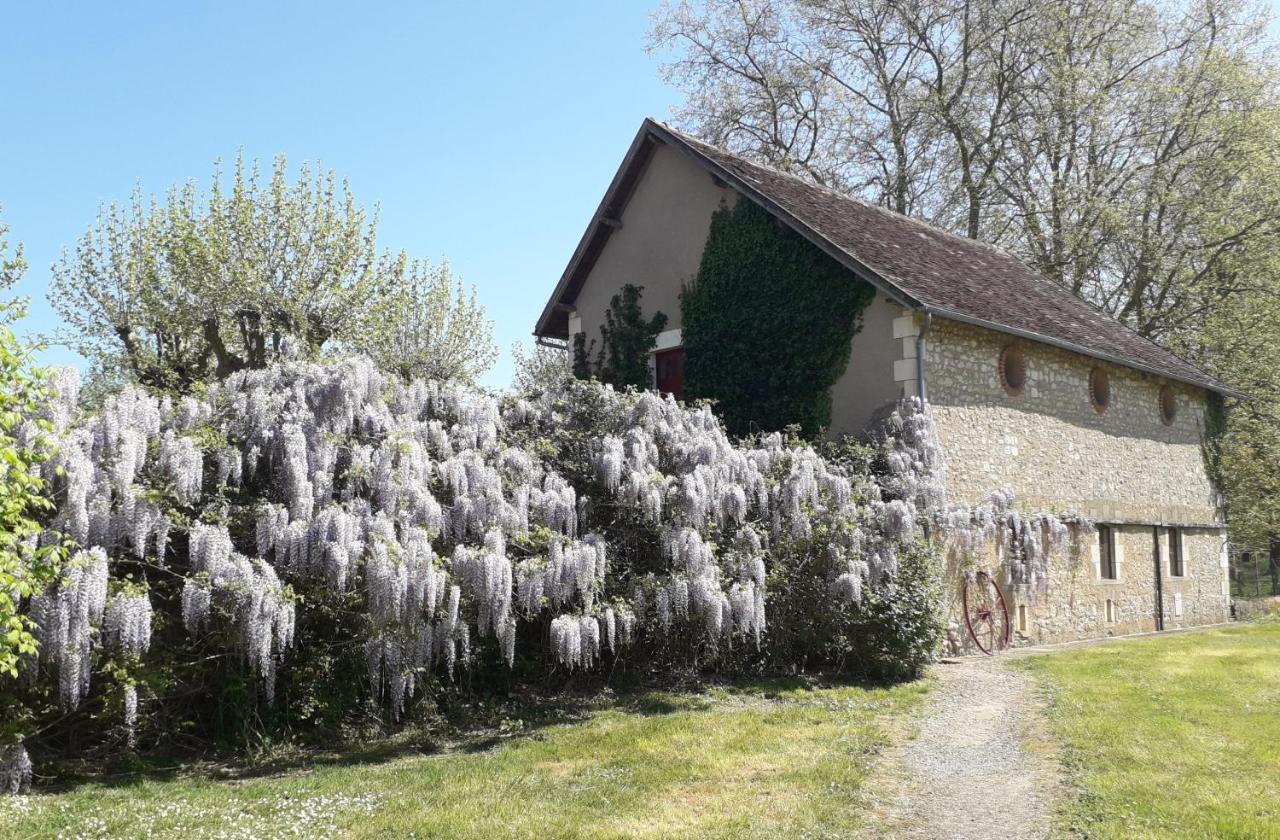 לה בלאנק Manoir De La Presle Ornella Et Stephane מראה חיצוני תמונה